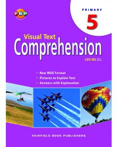 Visual Text Comprehension 5