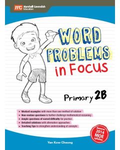 Word Problems in Focus 2B