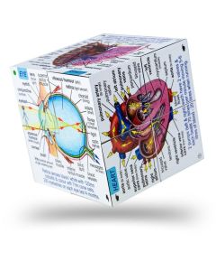 Cube Book - Human Body (Ages 5+)